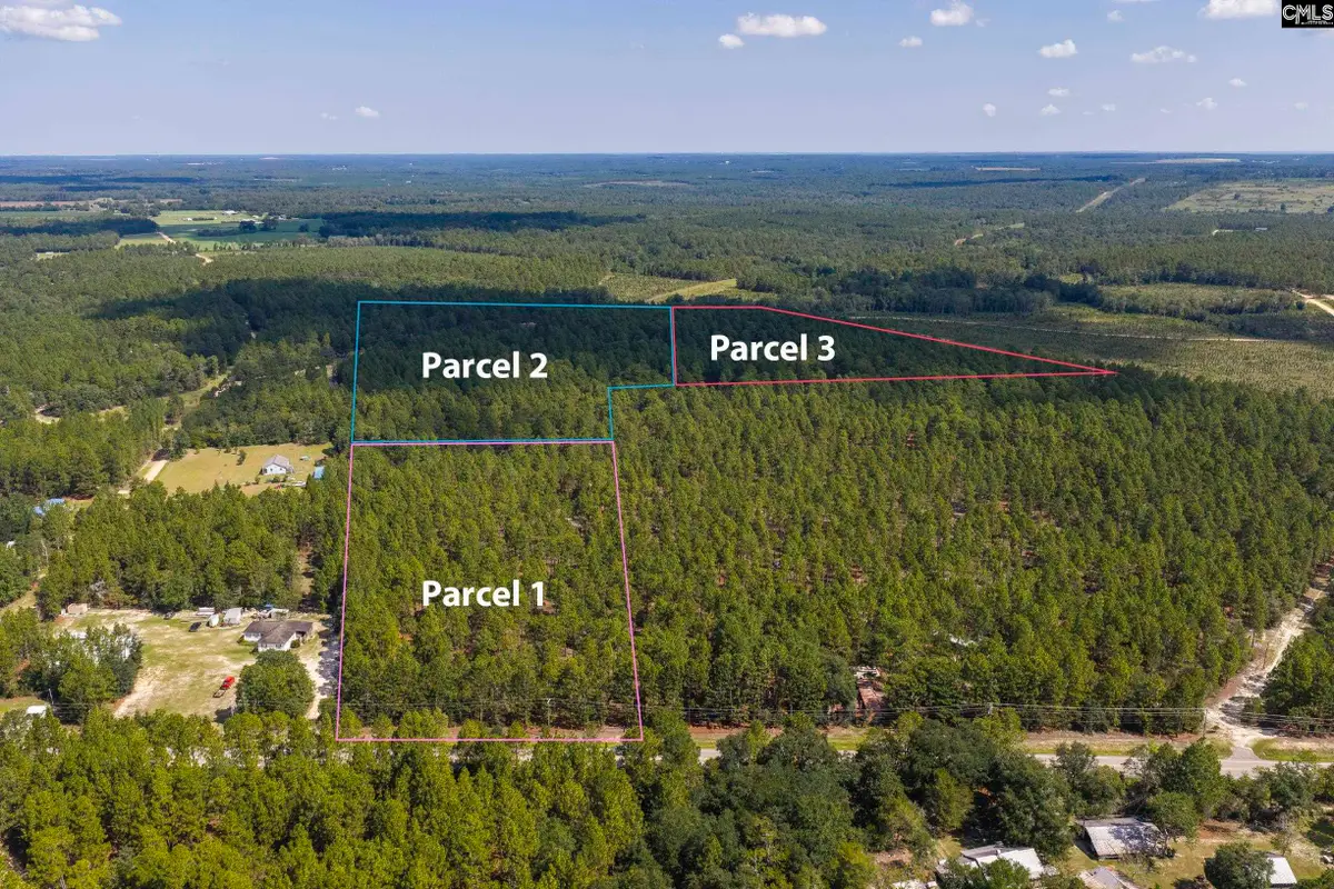 TBD Gantt Mill Road #Parcel 3, Leesville, SC 29070 - #1