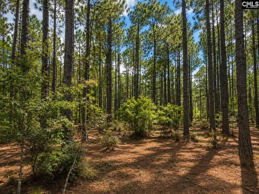 TBD Gantt Mill Road #Parcel 3, Leesville, SC 29070 - #2