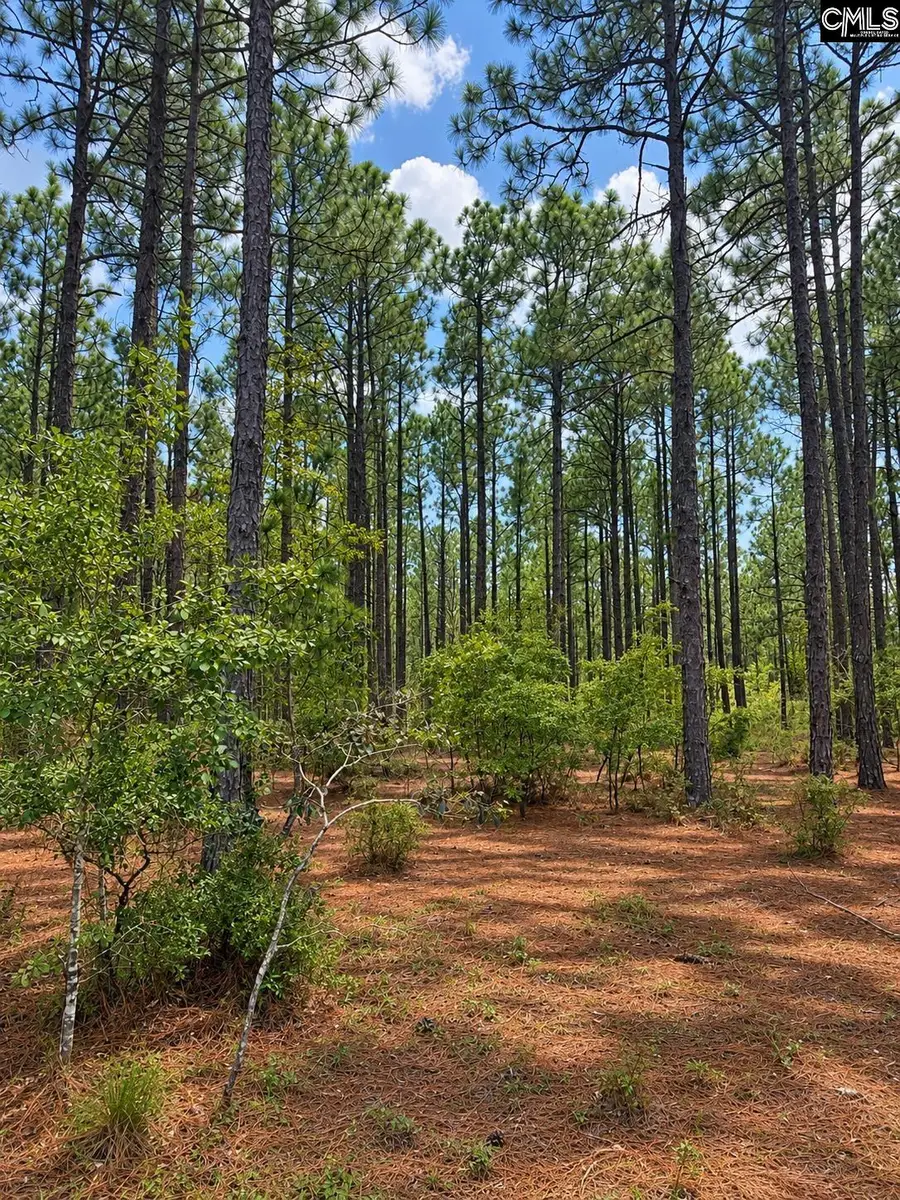 TBD Gantt Mill Road #Parcel 3, Leesville, SC 29070 - #3