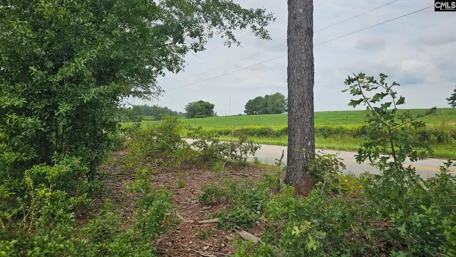 TBD Piper Road, Trenton, SC 29847 - #2
