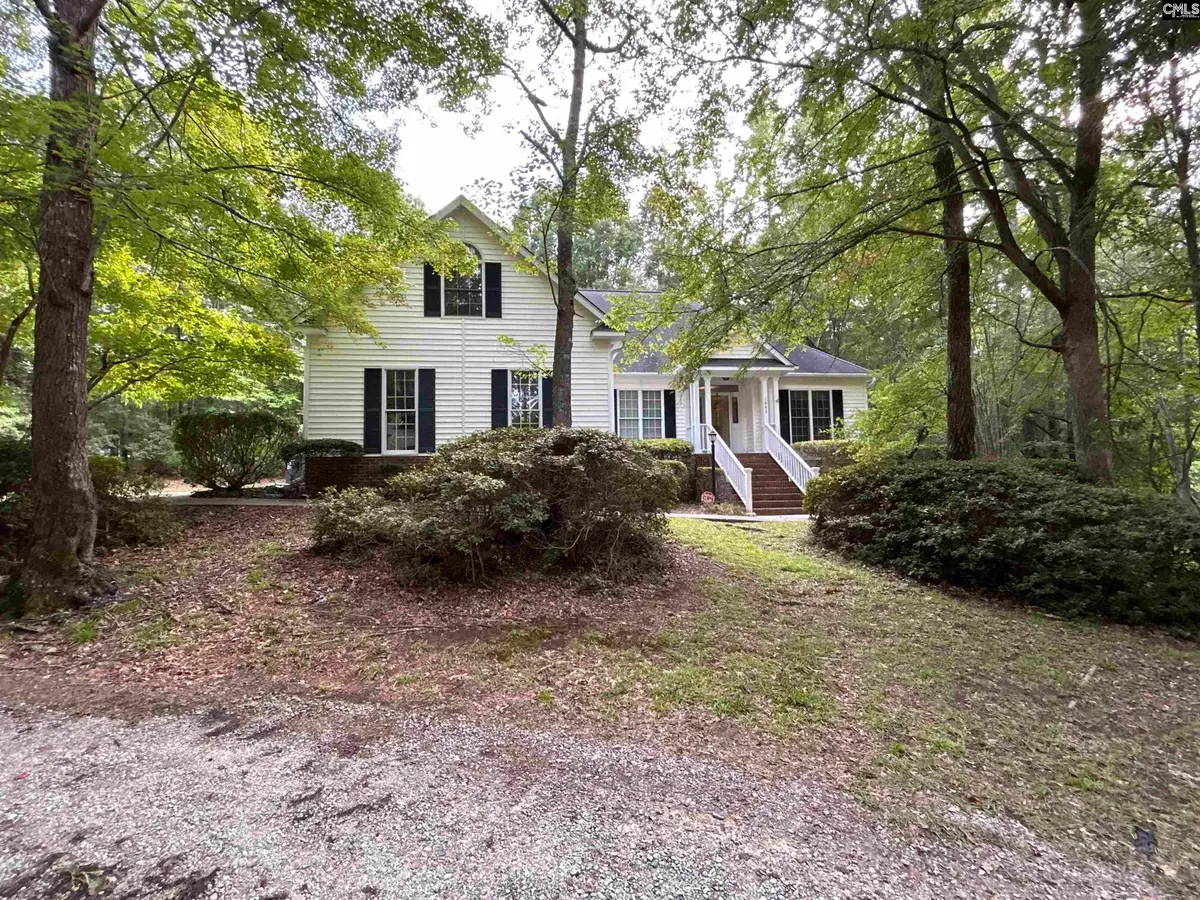 1043 Old Bush River Road, Chapin, SC 29036 - #1