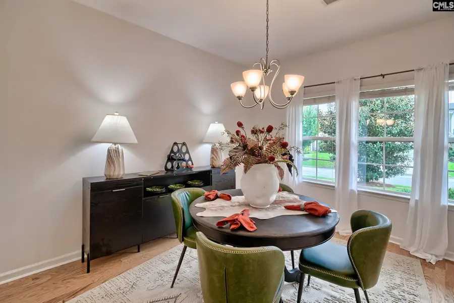 1127 Portrait Hill Drive, Chapin, SC 29036 - #3