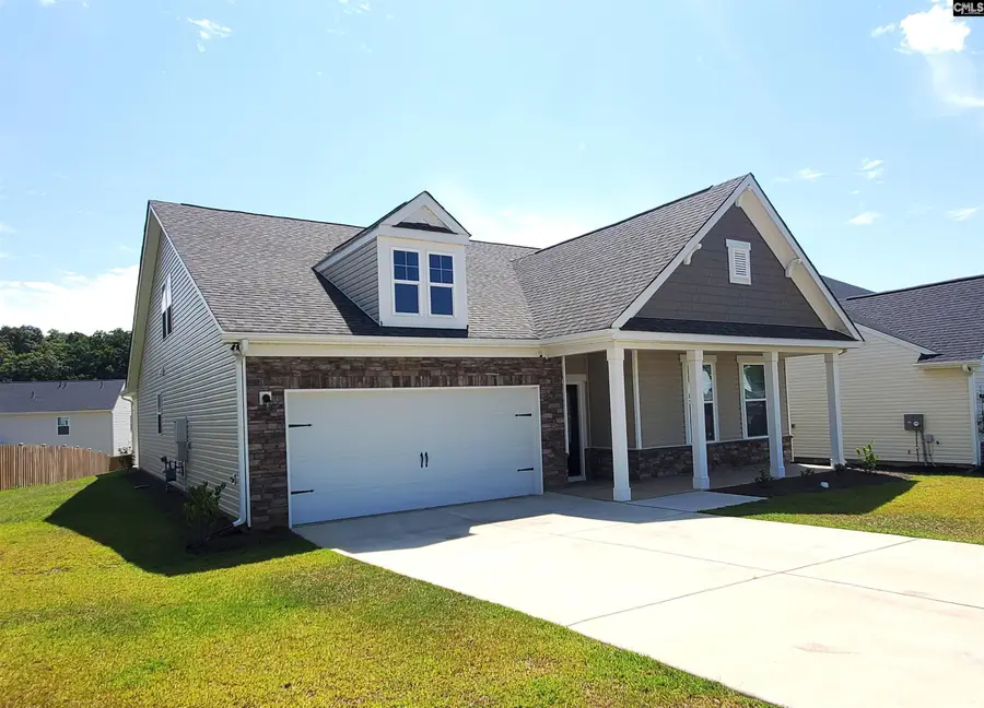 351 Chapin Place Way, Chapin, SC 29036 - #2