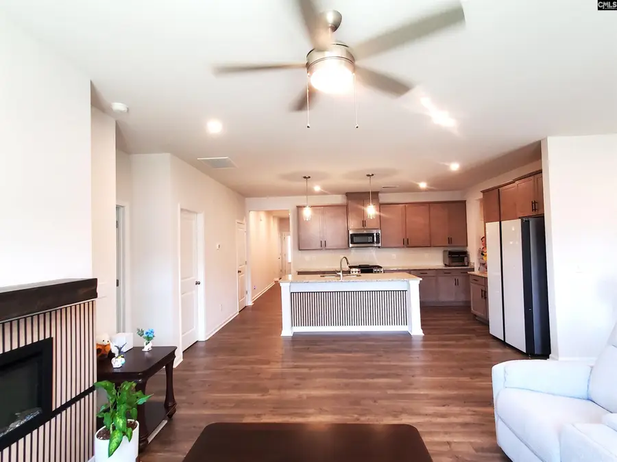 351 Chapin Place Way, Chapin, SC 29036 - #3