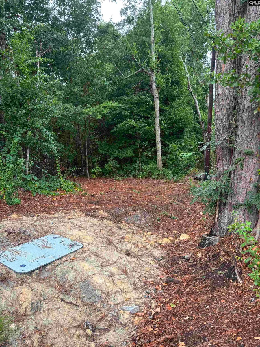 3318 Hollydale Drive, West Columbia, SC 29170 - #2