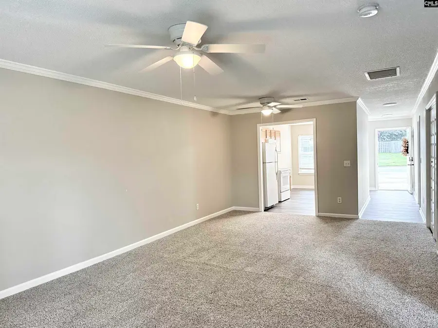 109 Owl Trace Lane, Chapin, SC 29036 - #3