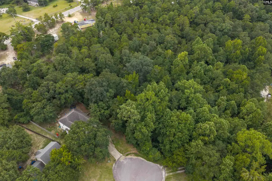 119 Painted Pony Court, Elgin, SC 29045 - #3