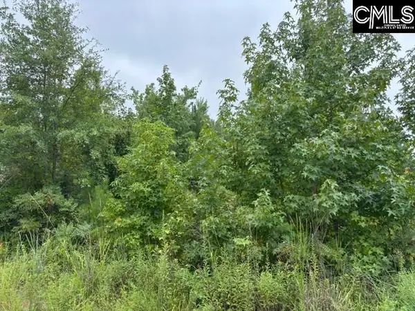 1008 Langford Road, Blythewood, SC 29016
