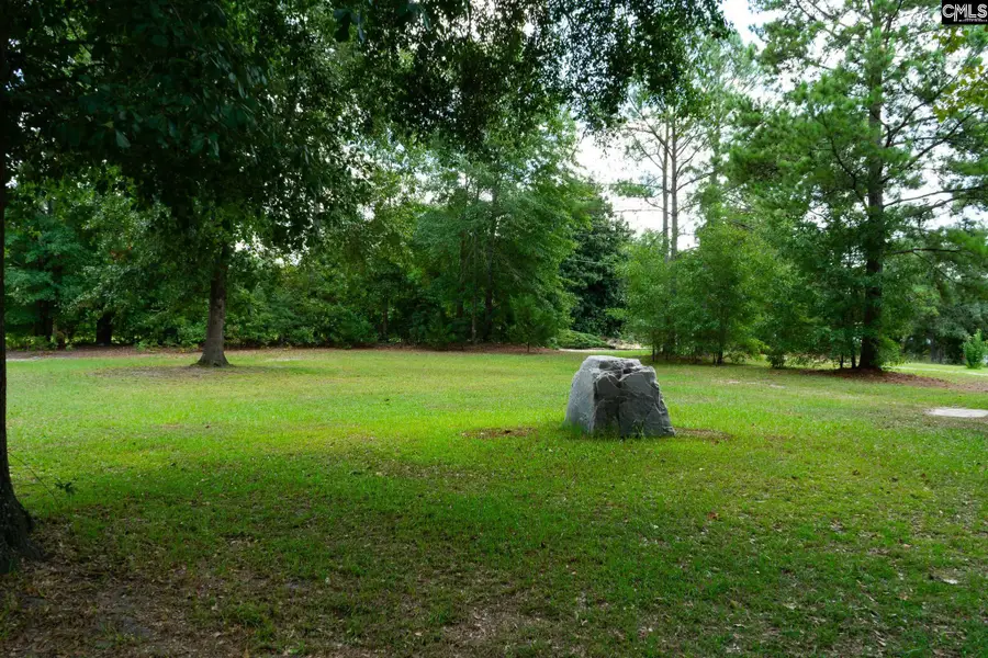 1746 Nazareth Road, Lexington, SC 29073 - #3