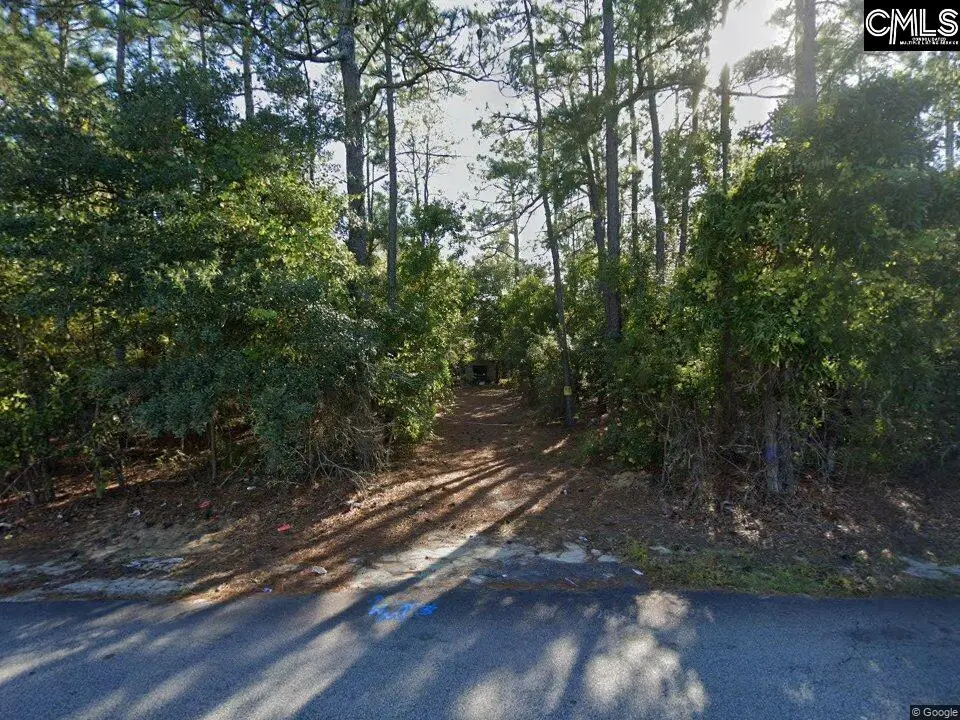 132 Fore Avenue, Columbia, SC 29229 - #1