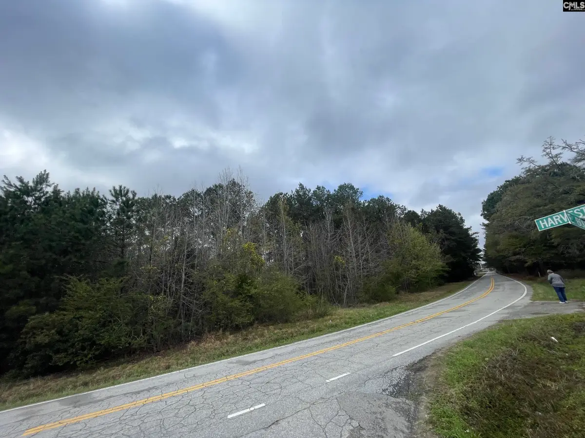 000 E Boundary Street, Chapin, SC 29036 - #1