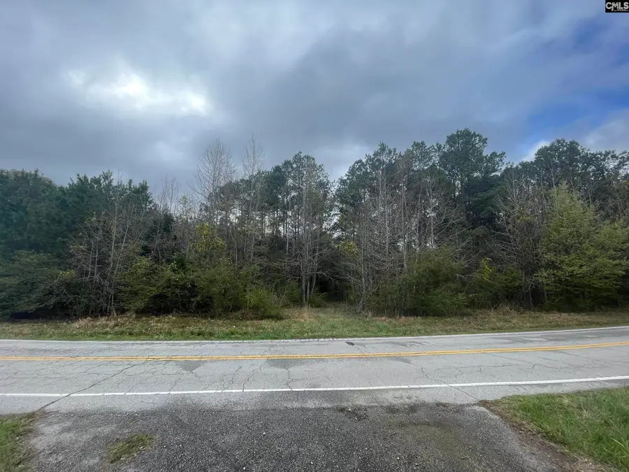 000 E Boundary Street, Chapin, SC 29036 - #2