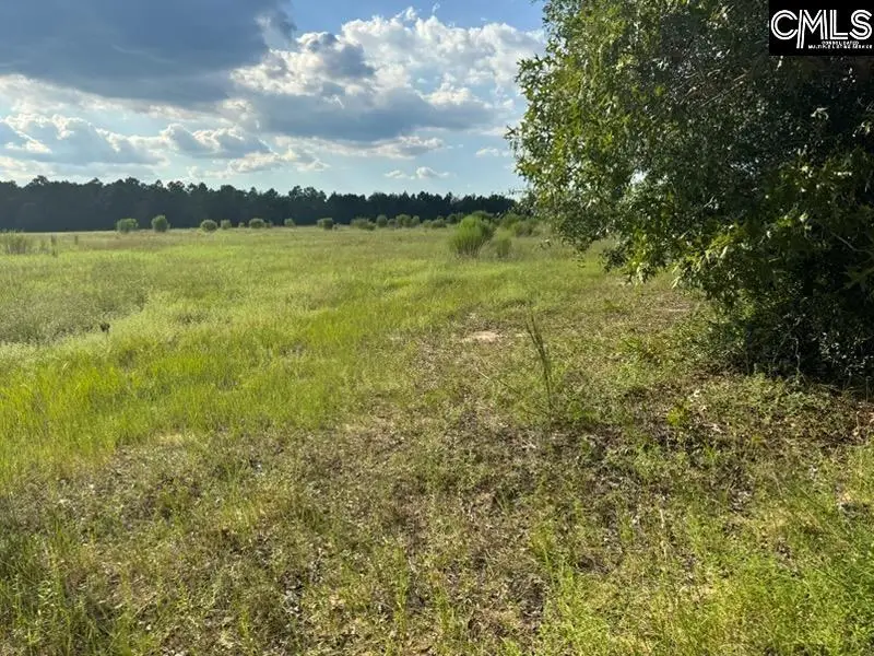 0 Mary Rawls Road, Wagener, SC 29164 - #2