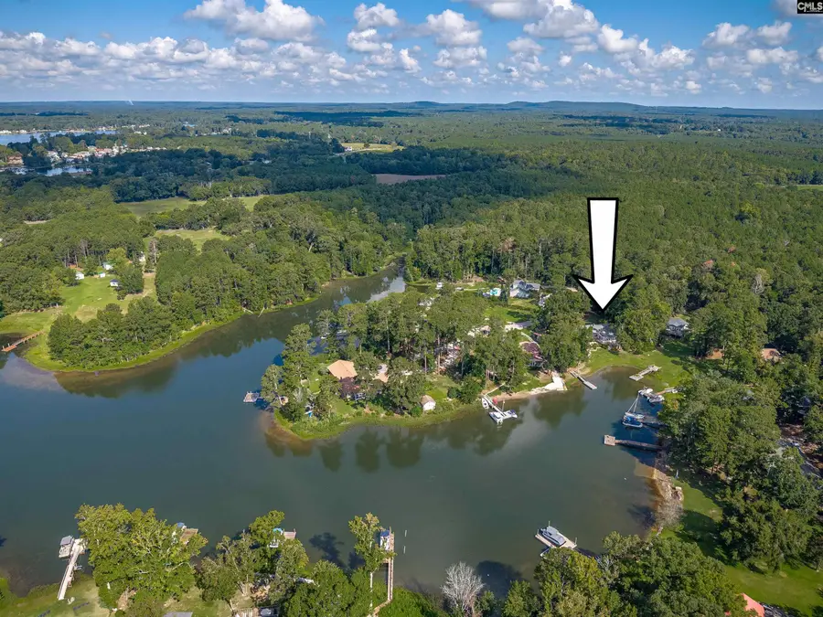 161 Woodlake Circle, Chapin, SC 29036 - #3