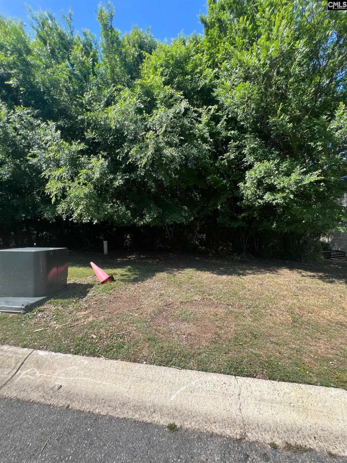 357 Canal Place Drive, Columbia, SC 29201 - #1