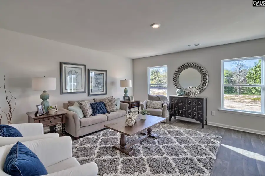 160 Calm Citadel Drive, Pelion, SC 29123 - #2
