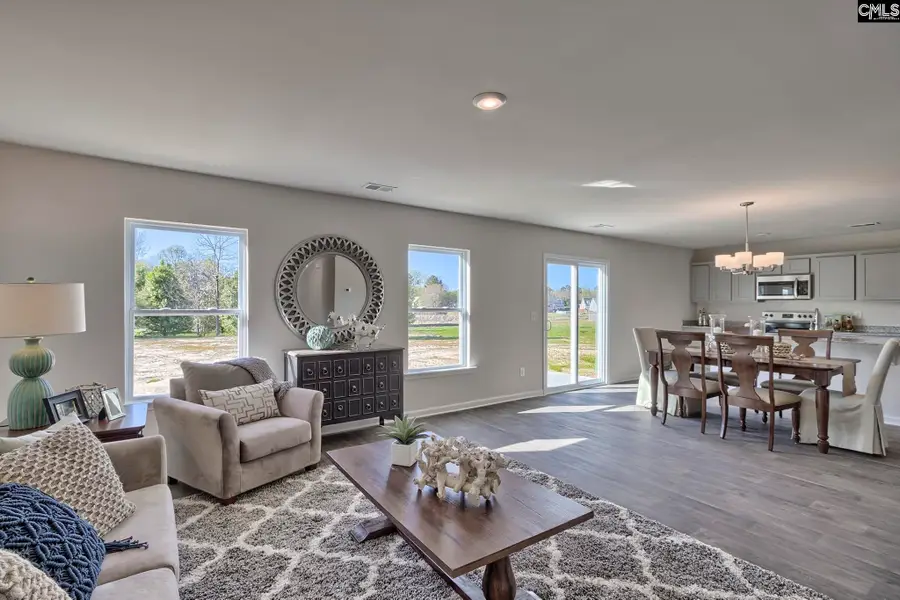 160 Calm Citadel Drive, Pelion, SC 29123 - #3