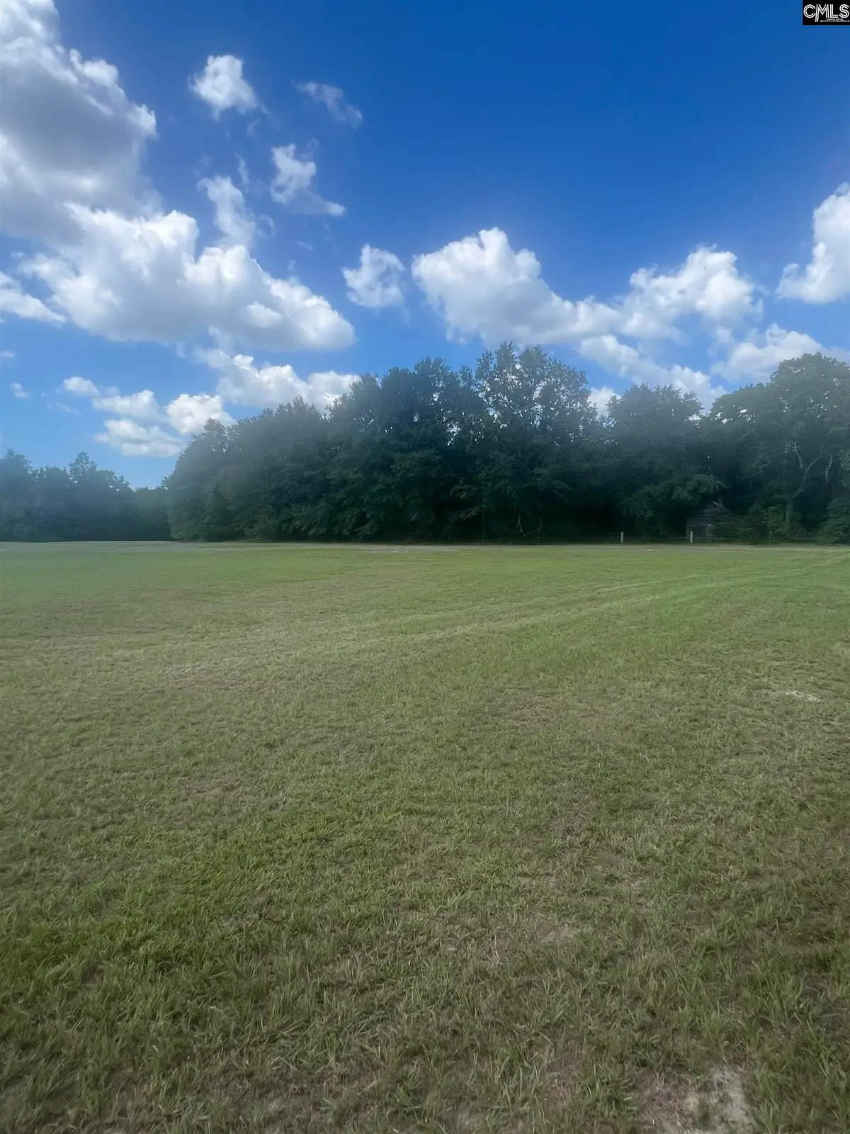 1529 Elbert Taylor Road, Pelion, SC 29123 - #1
