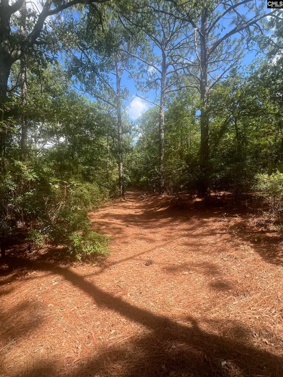 1529 Elbert Taylor Road, Pelion, SC 29123 - #2