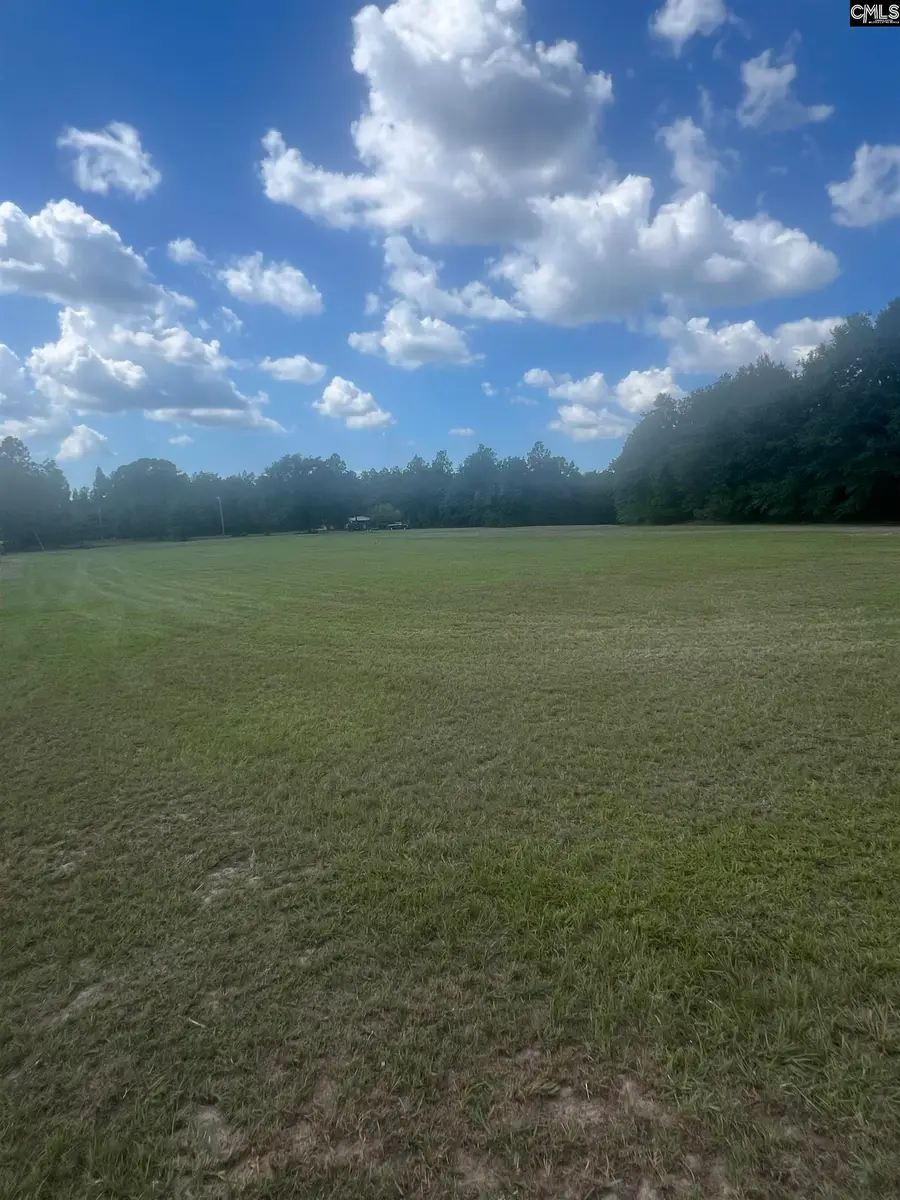 1529 Elbert Taylor Road, Pelion, SC 29123 - #3