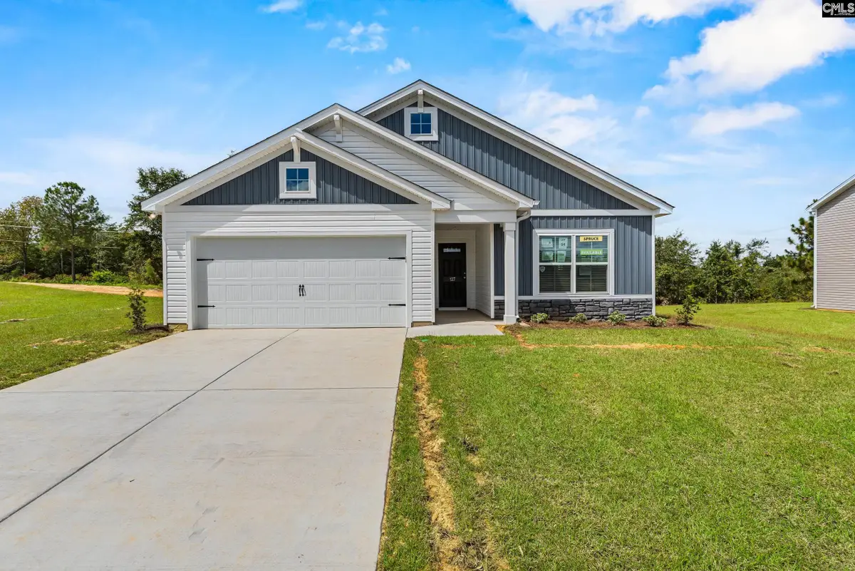 144 Calm Citadel Drive, Pelion, SC 29123 - #1