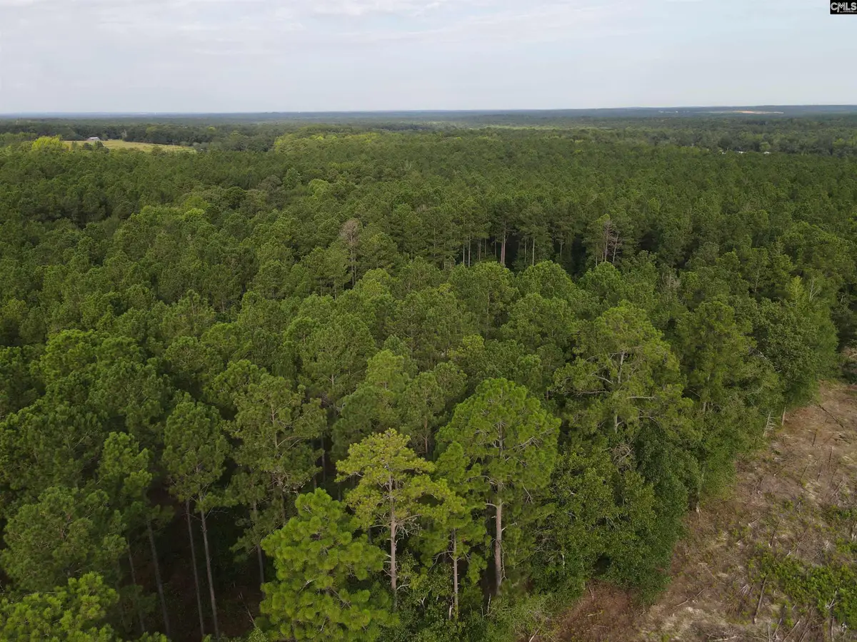 Tract 4 Bridle Path Road, Camden, SC 29020 - #1