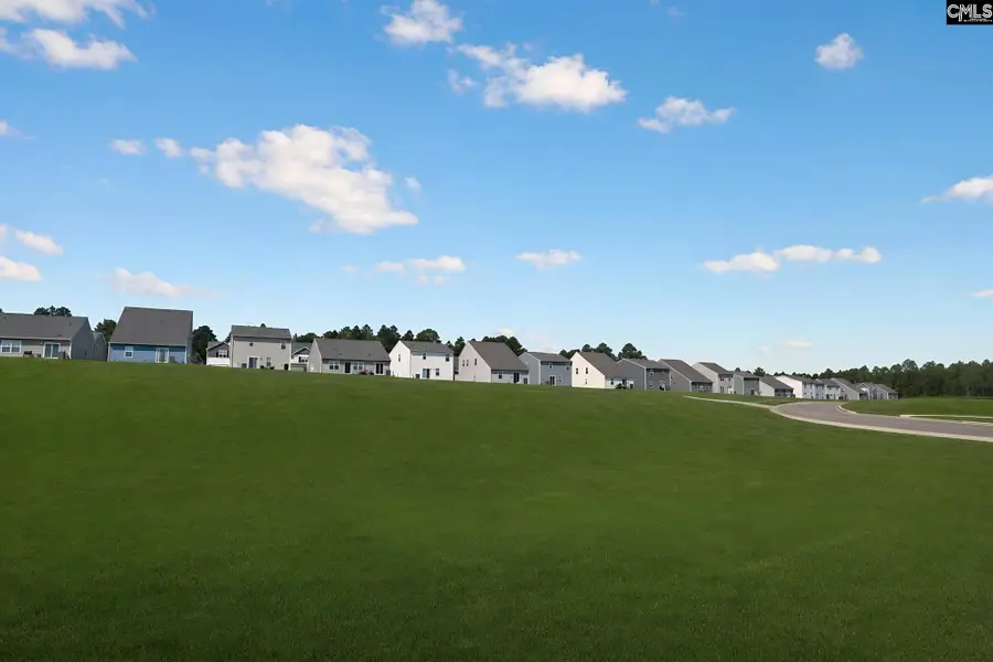 370 Sunny Falls Drive, Gaston, SC 29053 - #2