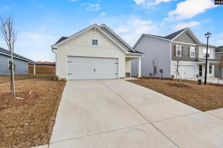 164 Calm Citadel Drive, Pelion, SC 29123 - #2