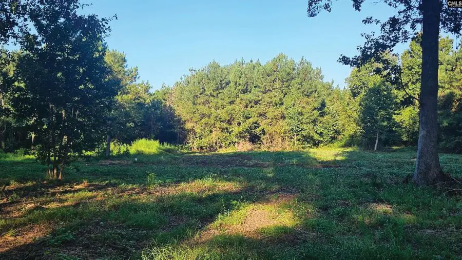0 J Farm Trail, Leesville, SC 29070 - #3