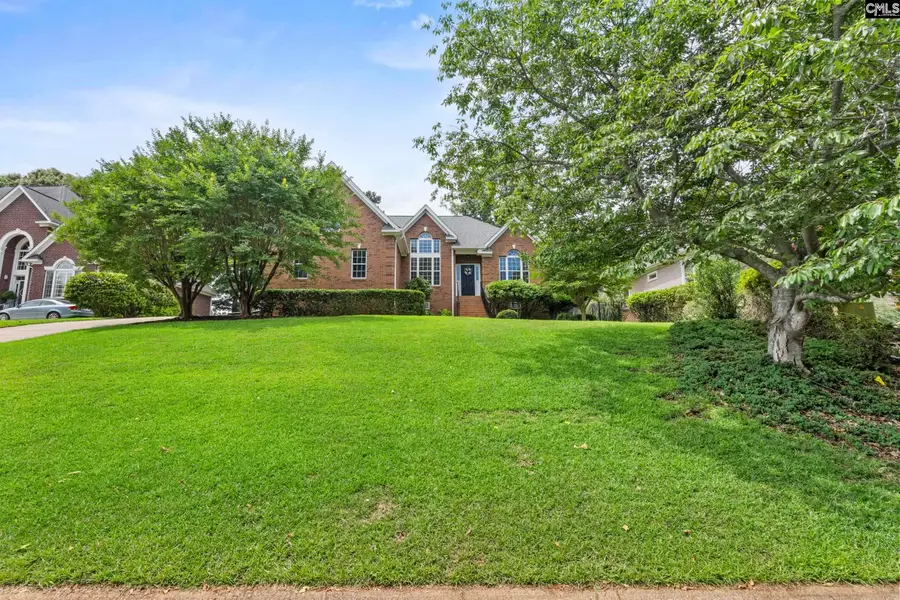413 Oxenbridge Way, Chapin, SC 29036 - #2