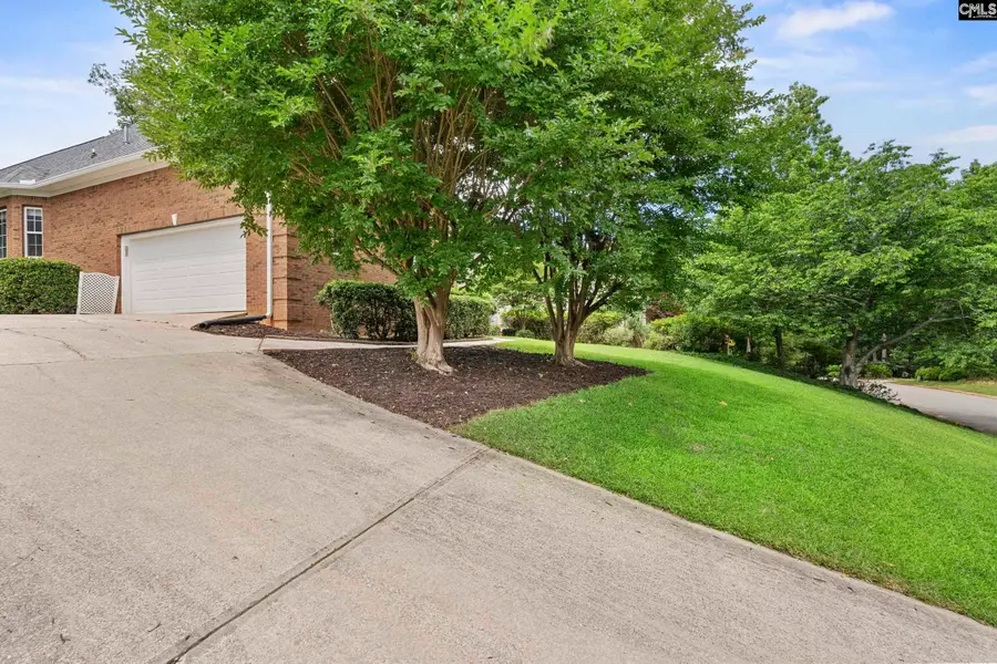 413 Oxenbridge Way, Chapin, SC 29036 - #3
