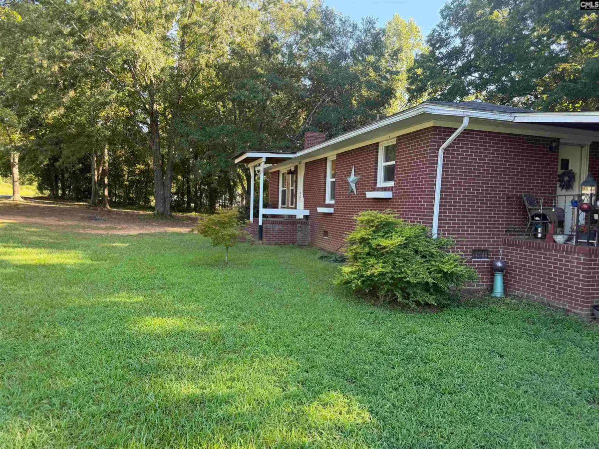 10768 Us Hwy 176 Highway, Pomaria, SC 29126 - #1