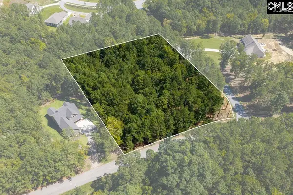 Lot 205 Peninsula Drive, Prosperity, SC 29127