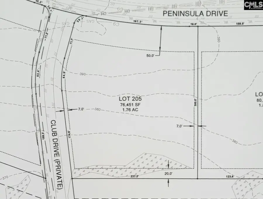 Lot 205 Peninsula Drive, Prosperity, SC 29127 - #2