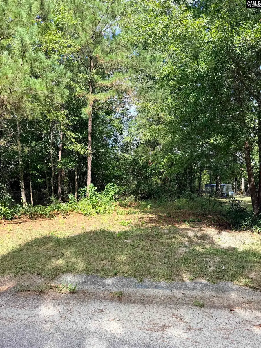 219 Nikon Cr, West Columbia, SC 29172 - #2