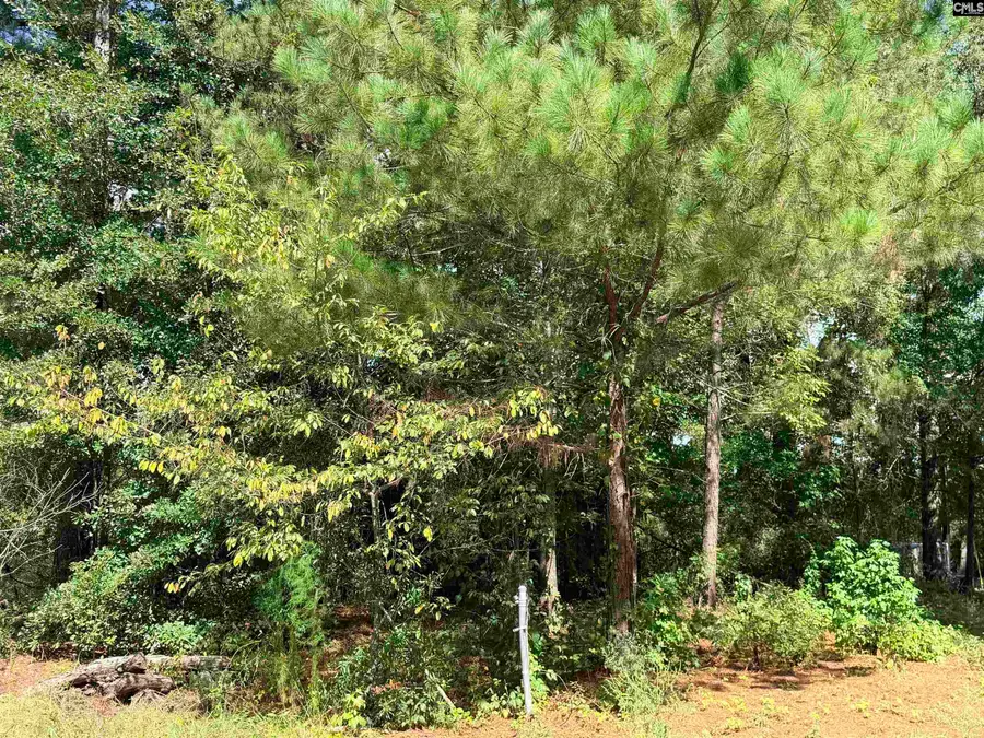 219 Nikon Cr, West Columbia, SC 29172 - #3