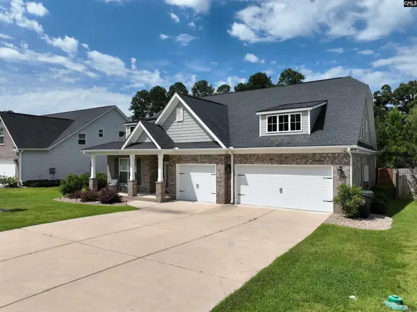 218 Chapin Brook Court, Chapin, SC 29036