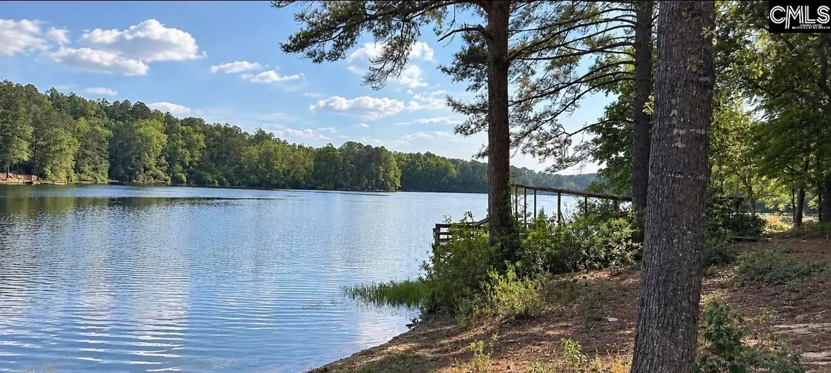 333 Calmont Drive, Swansea, SC 29160 - #1