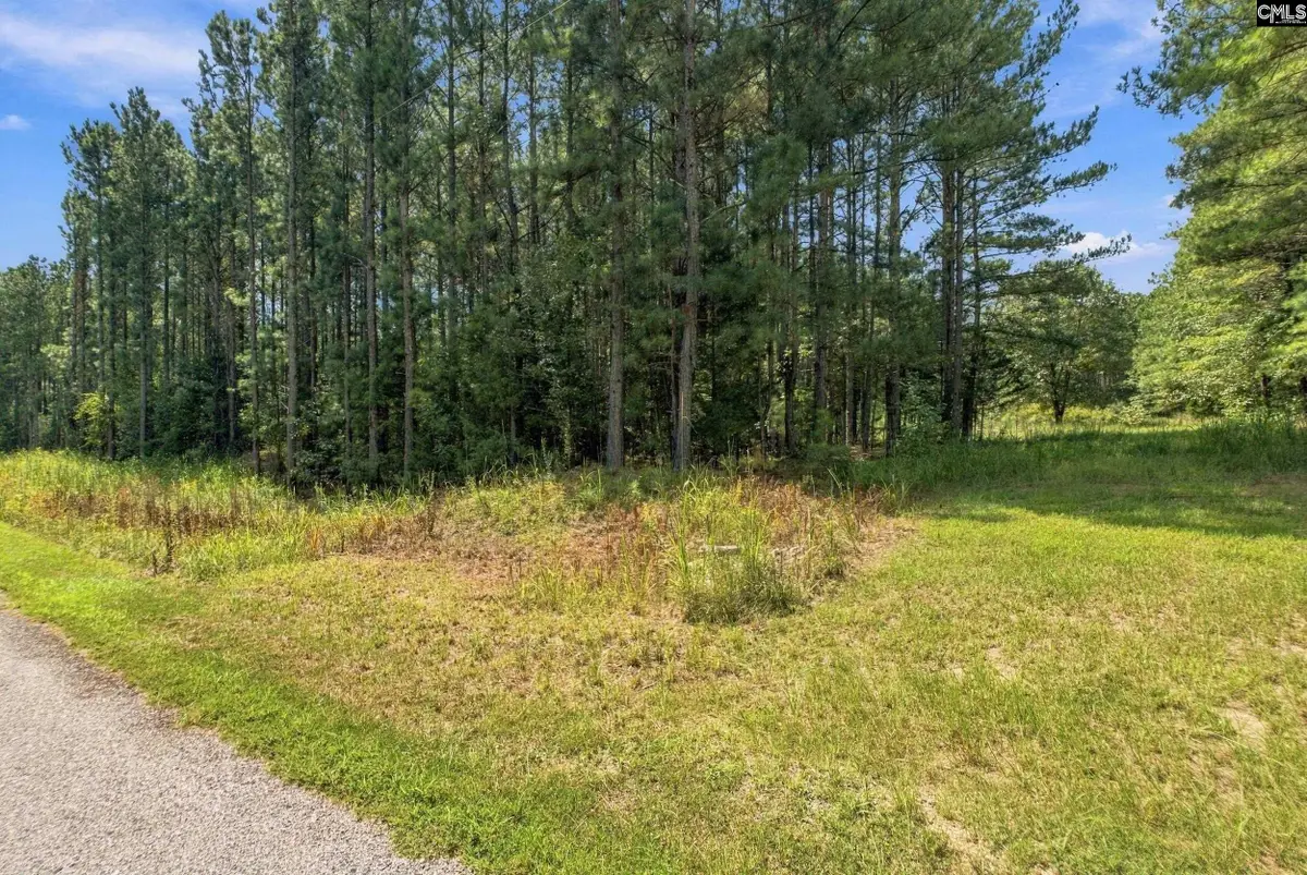 0 Lavinia Lane, Winnsboro, SC 29180 - #1