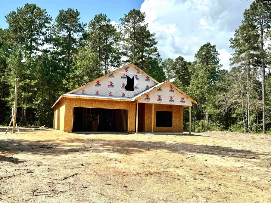 336 Wendell Lane, Wagener, SC 29164 - #2