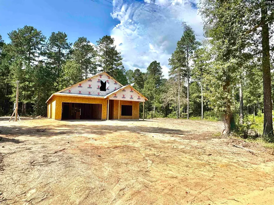 336 Wendell Lane, Wagener, SC 29164 - #3