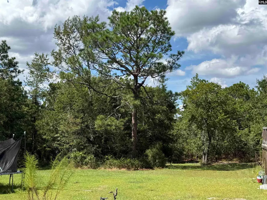180 Crystal Springs Road, Lexington, SC 29073 - #2