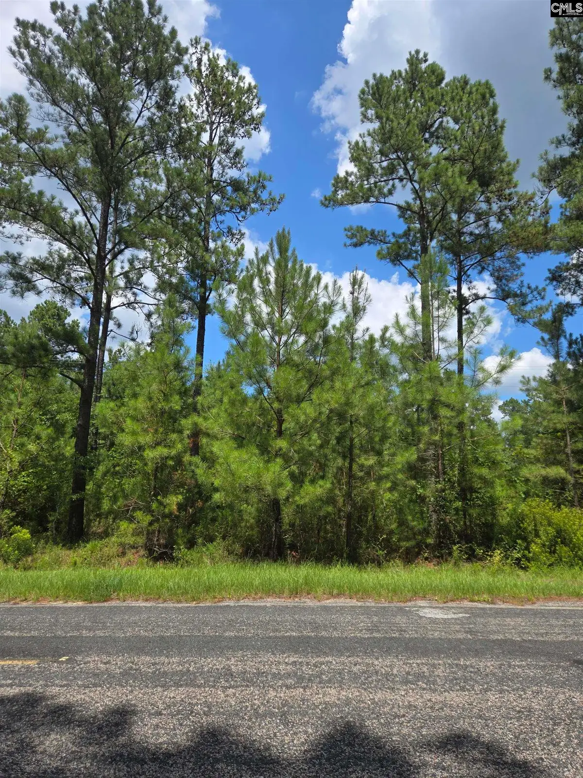 2374 Mount Hebron Road #1, Cassatt, SC 29032 - #1