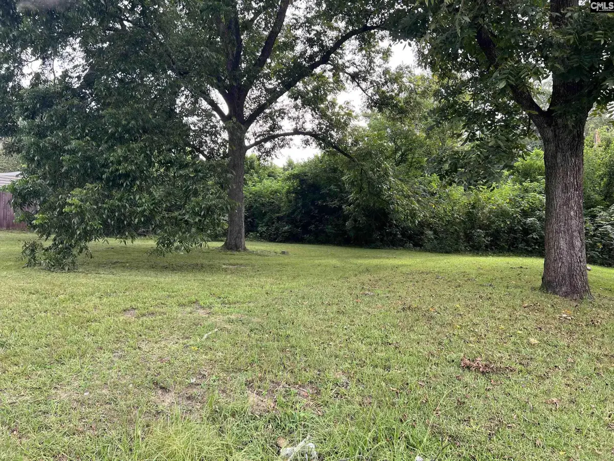 TBD Taylor Street, Newberry, SC 29108 - #1