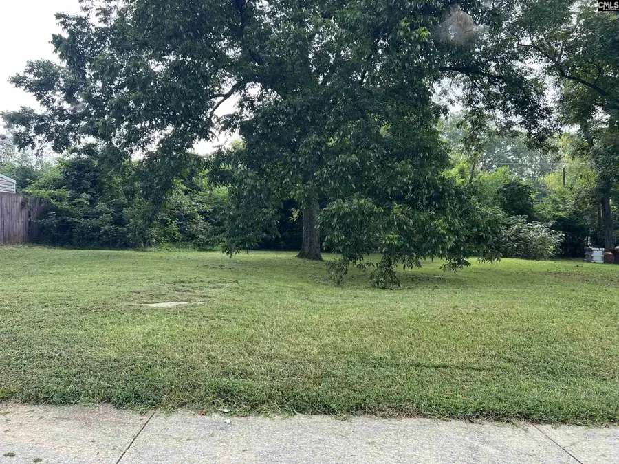 TBD Taylor Street, Newberry, SC 29108 - #2