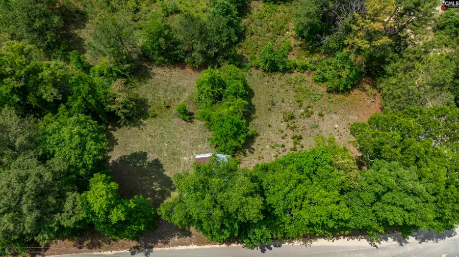 242 Sugar Loaf Road, Gaston, SC 29053 - #2