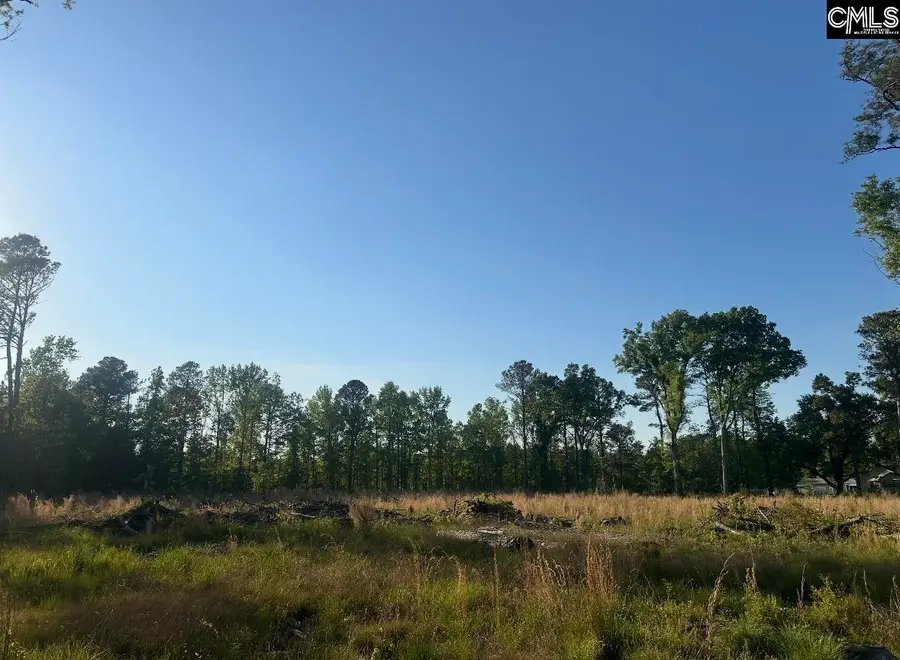 TBD N Kings Hwy, Rembert, SC 29128 - #2