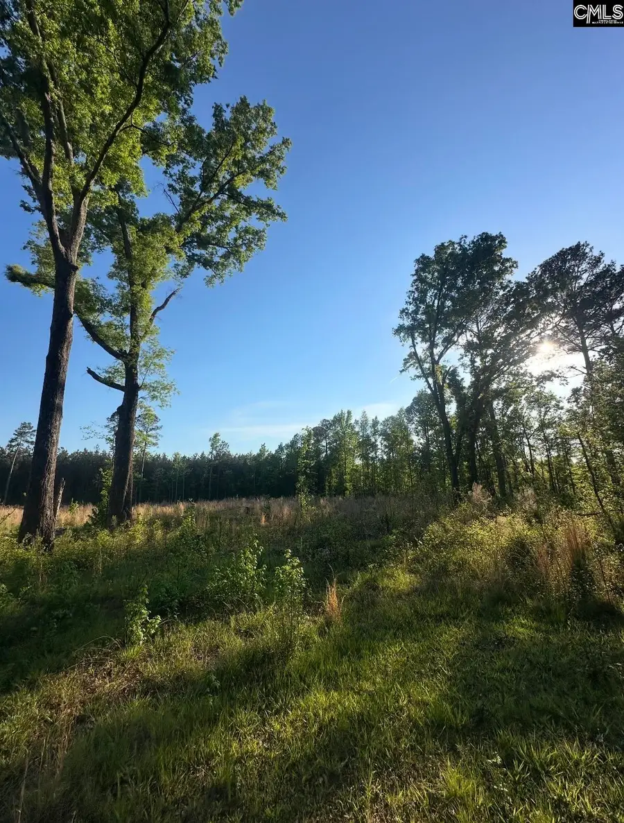 TBD N Kings Hwy, Rembert, SC 29128 - #3
