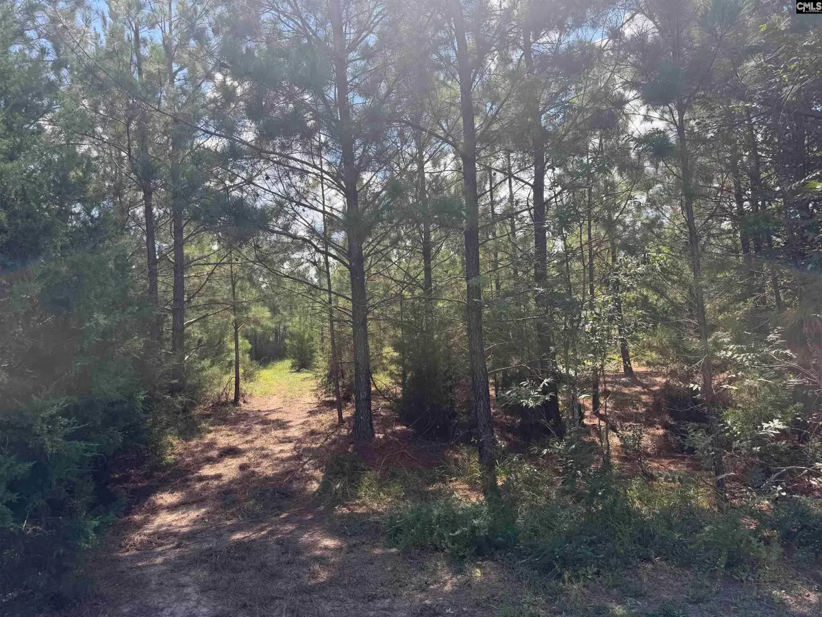 0 Lathrop Road, Pomaria, SC 29126 - #1
