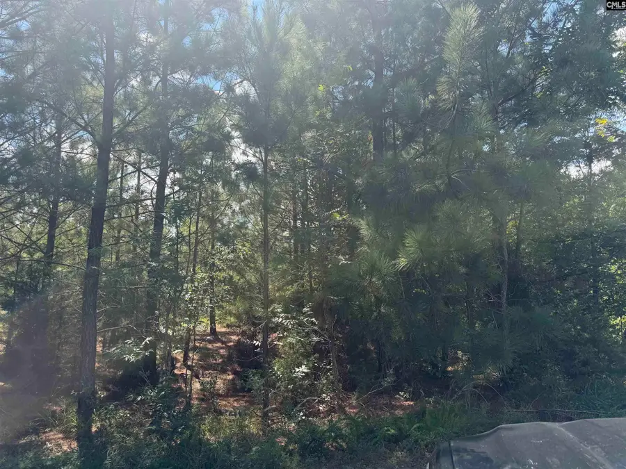 0 Lathrop Road, Pomaria, SC 29126 - #2